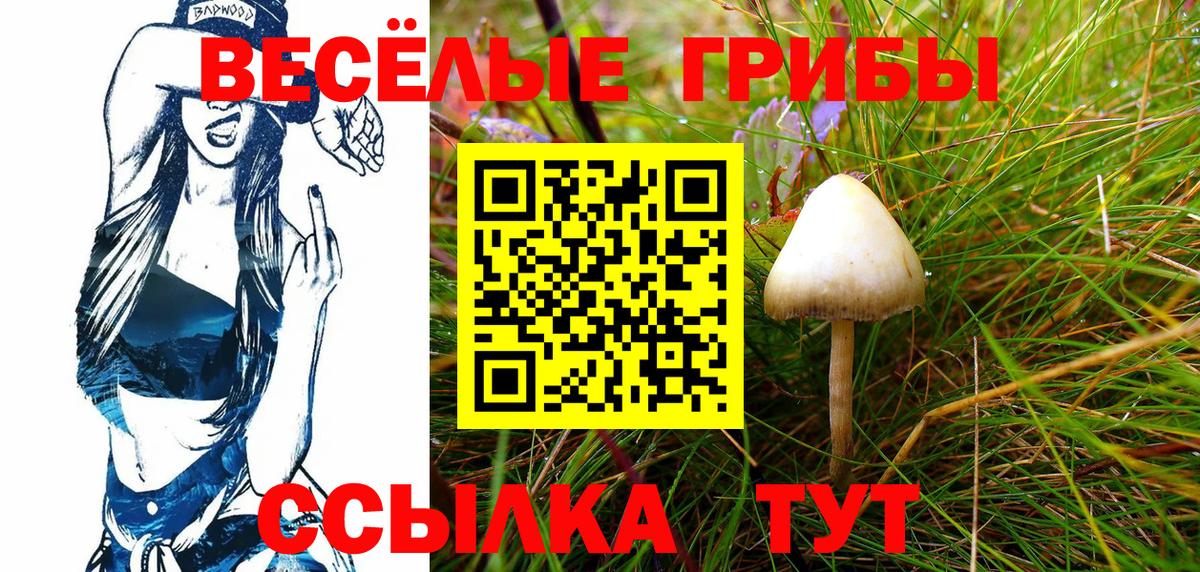 Псилоцибиновые грибы Cubensis  наркота  Северск  Вход с VPN 